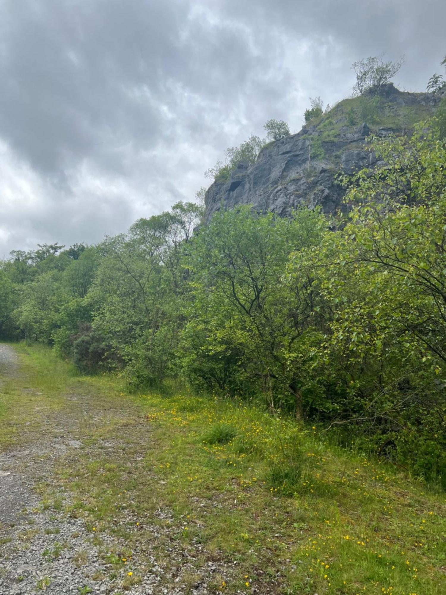 Kabin In The Woods Llandybie Exterior foto