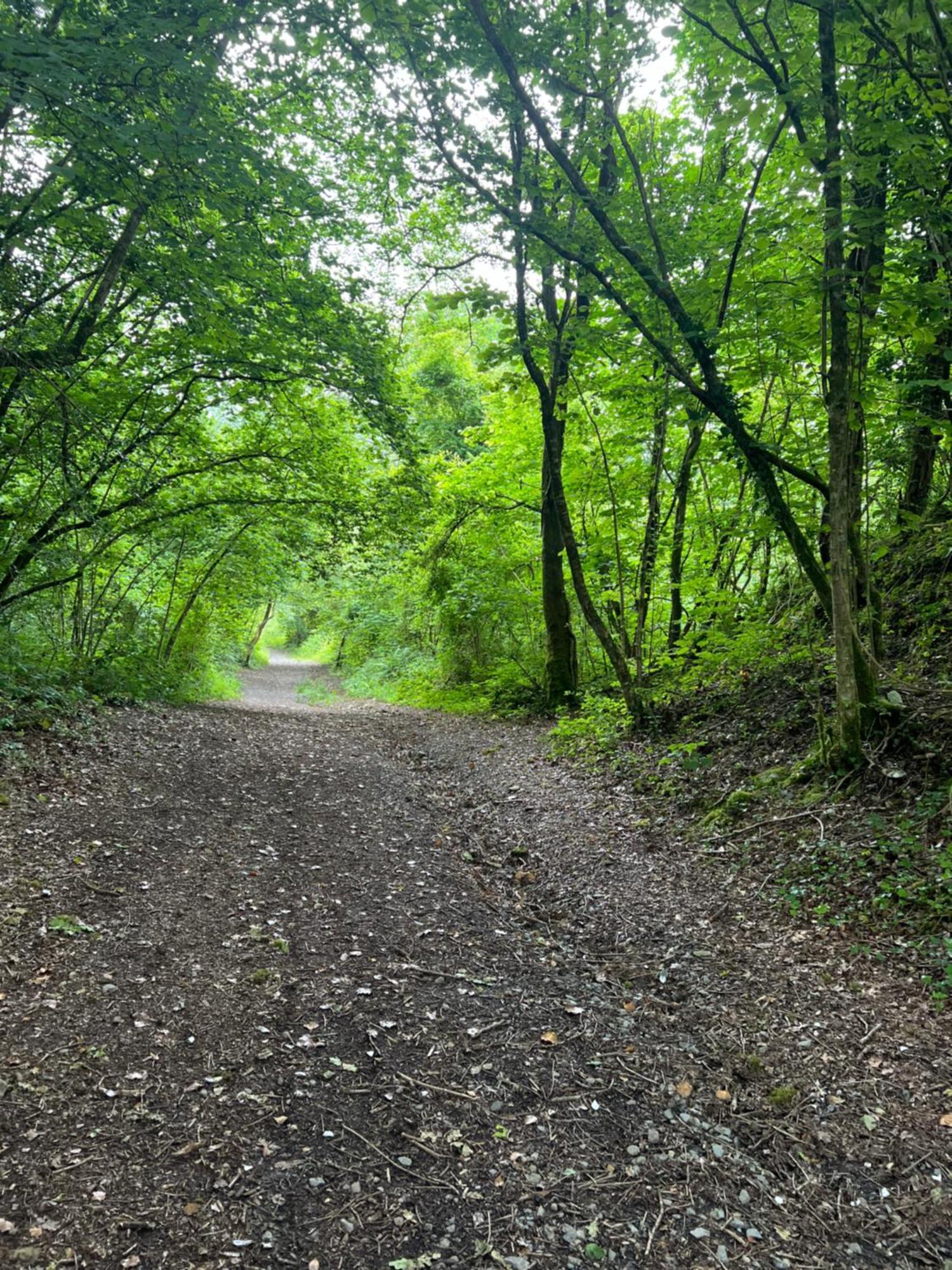 Kabin In The Woods Llandybie Exterior foto